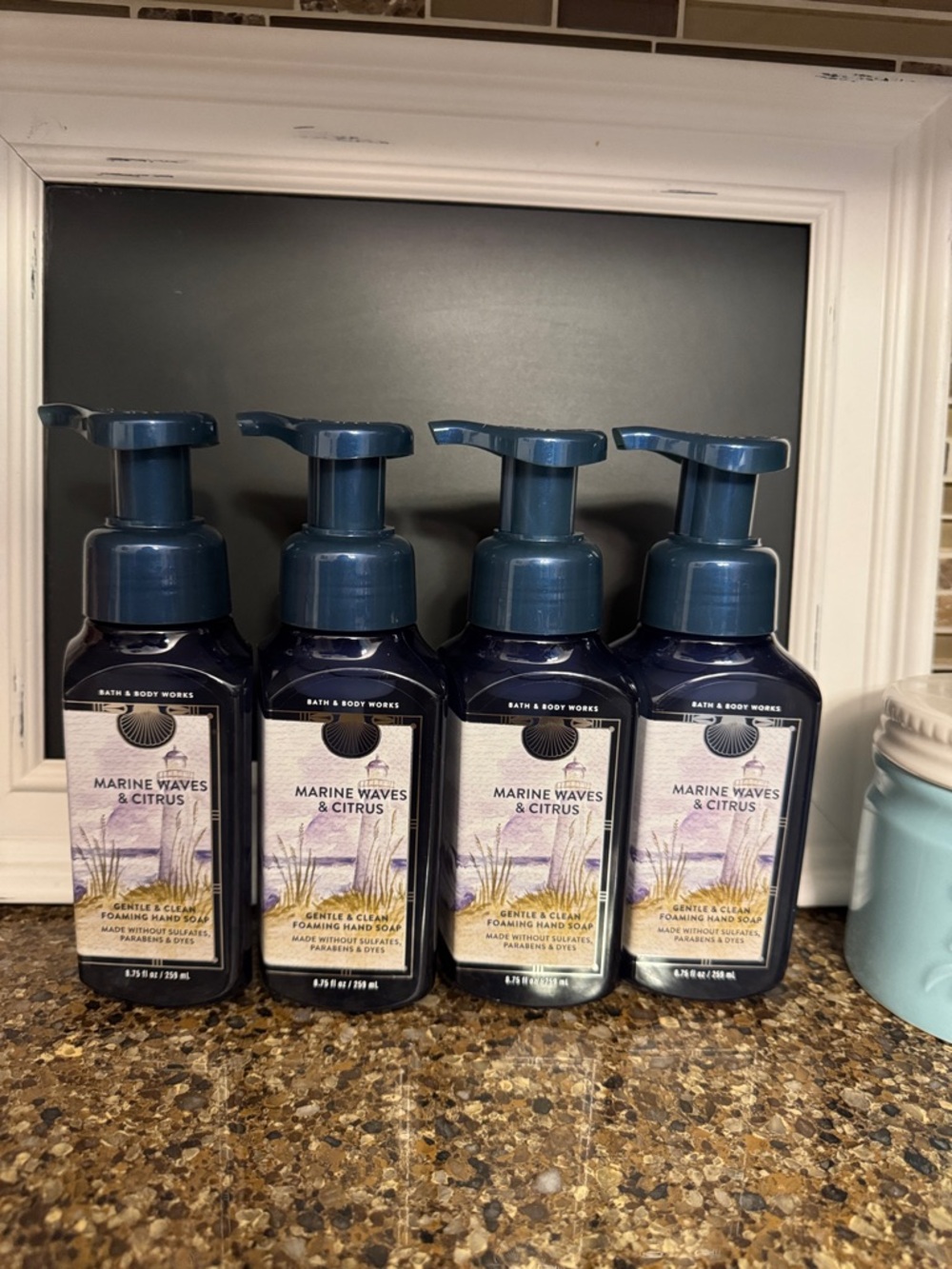 Bath & Body Works Marine Waves and Citrus Foaming Hand Soap Lot of 4